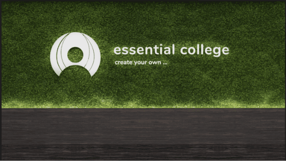 online essential college O škole